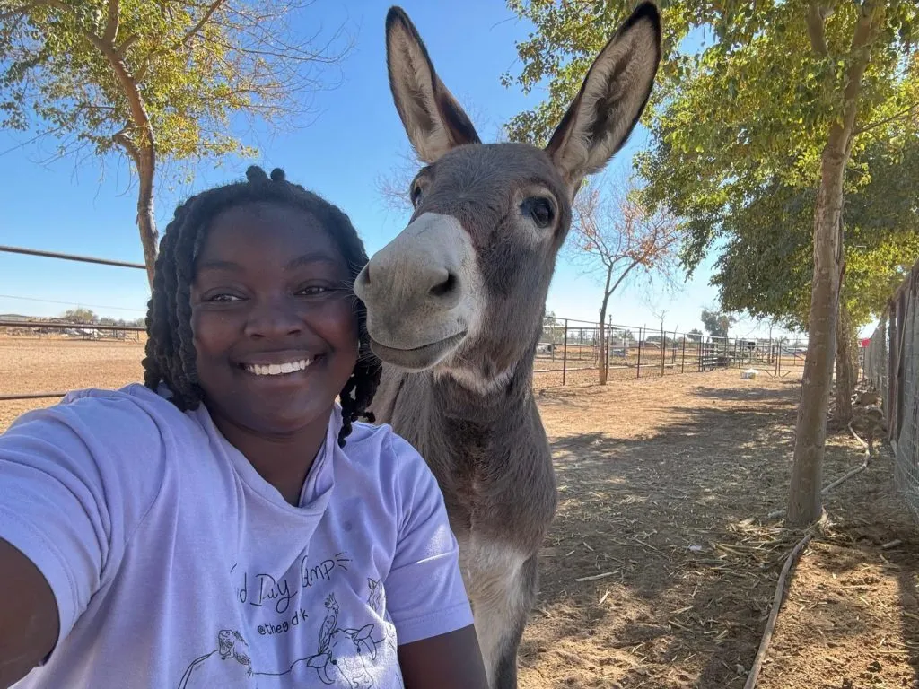 The Gud Ark Sanctuary grounds and animals