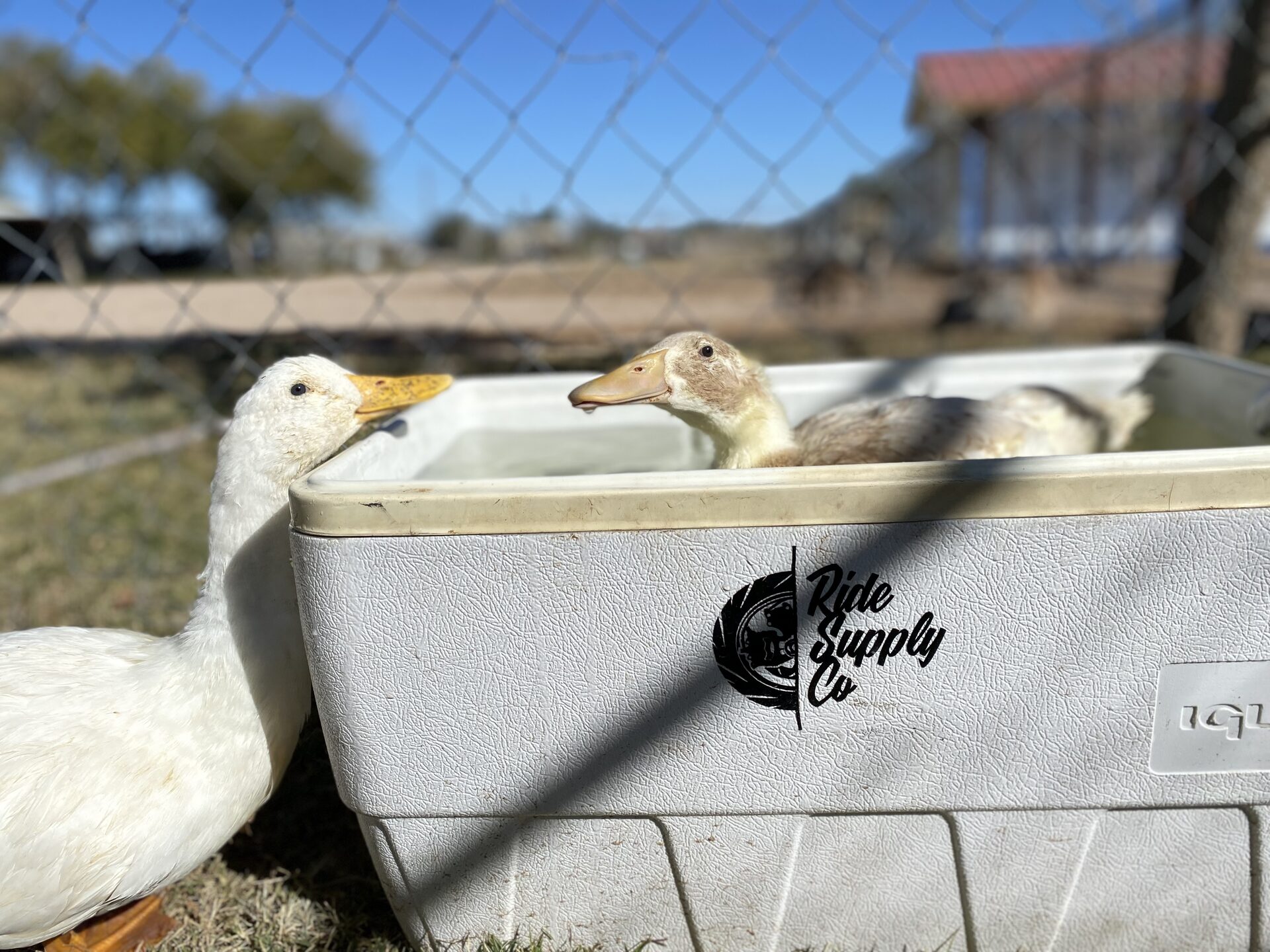 Welcome to The Gud Ark, photo 1