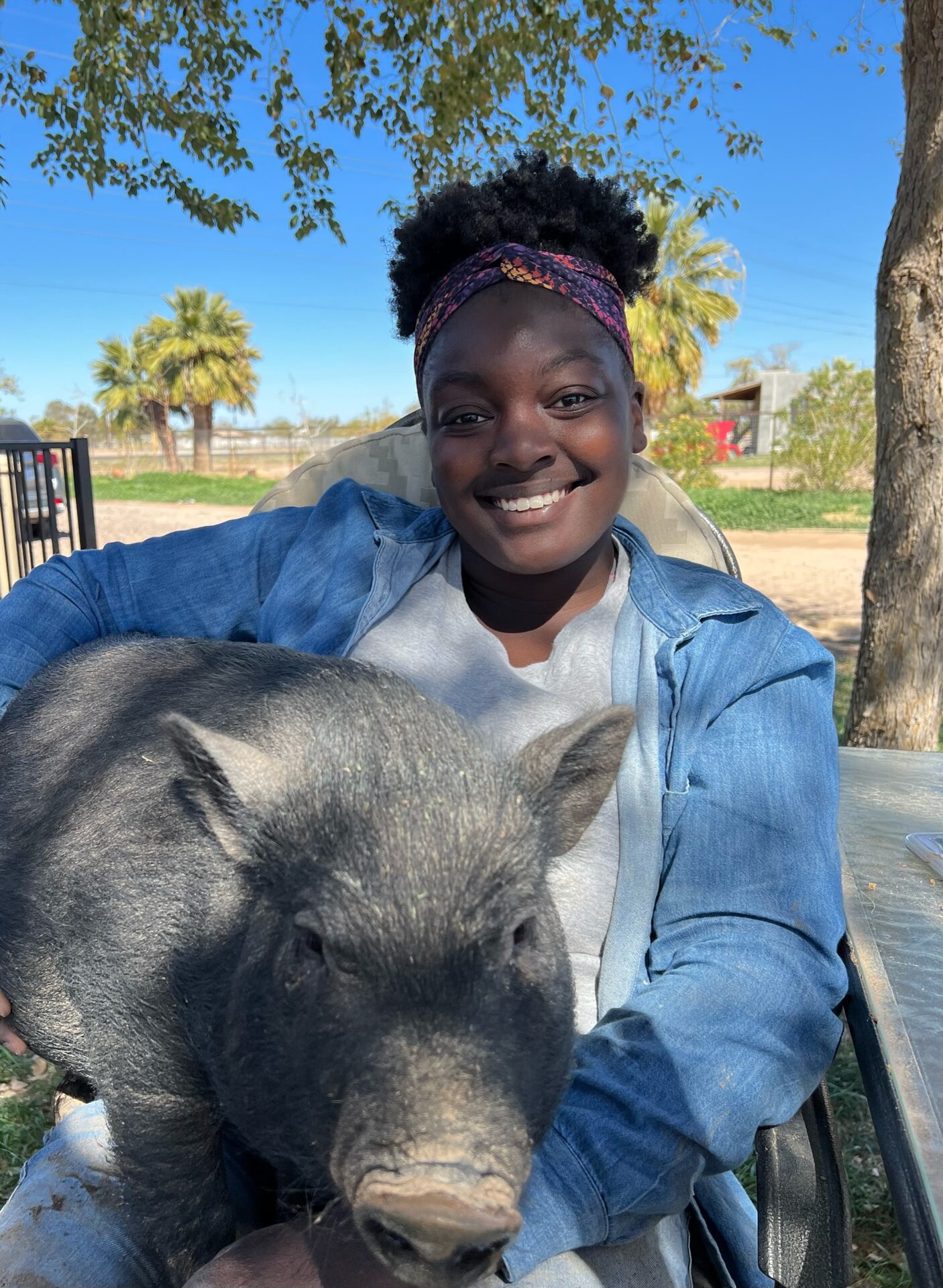 Life at The Gud Ark, photo 1