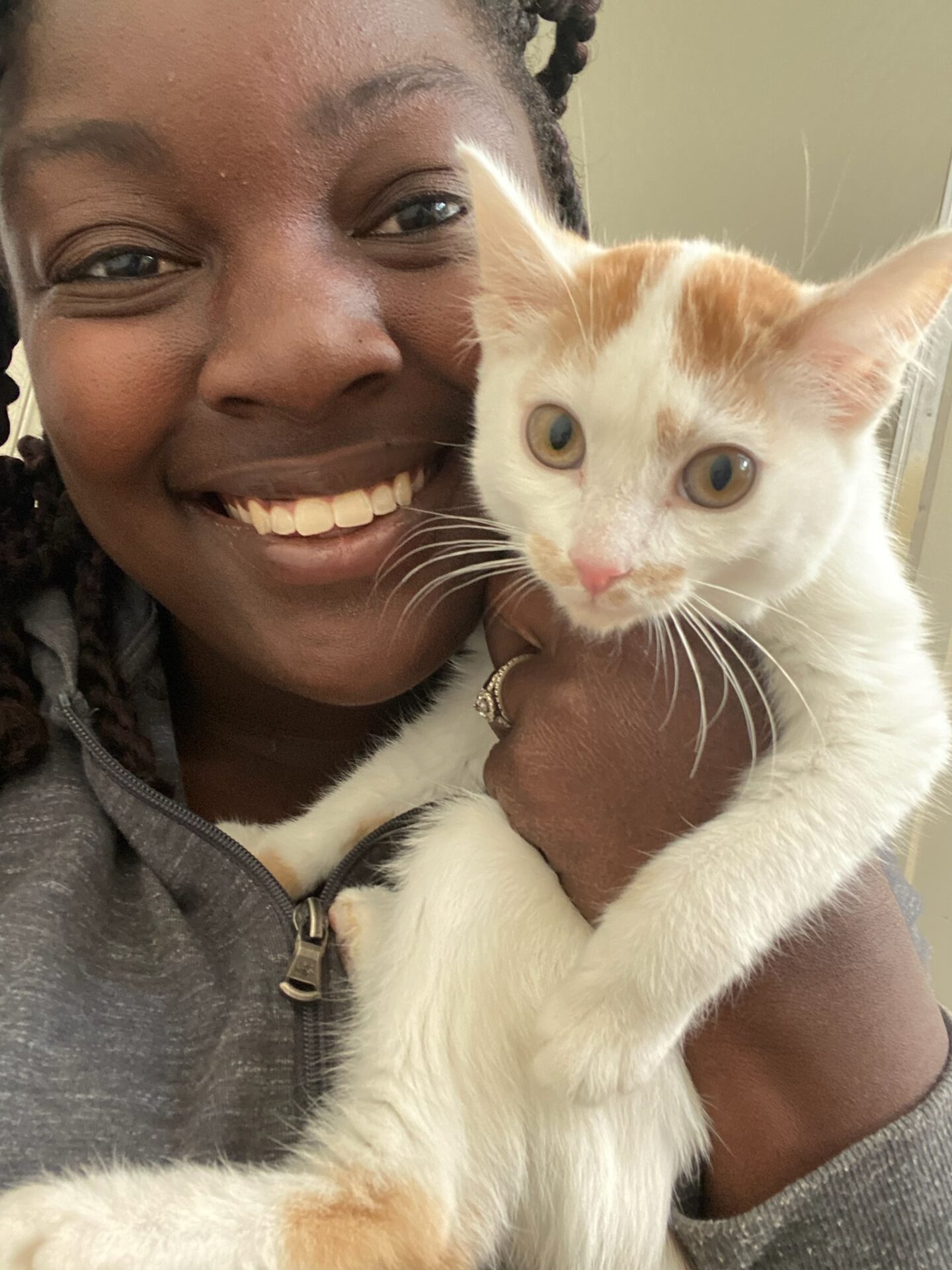 Life at The Gud Ark, photo 25