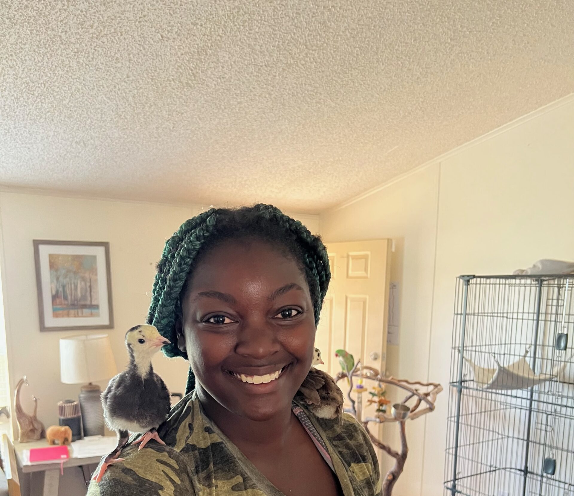 Life at The Gud Ark, photo 28