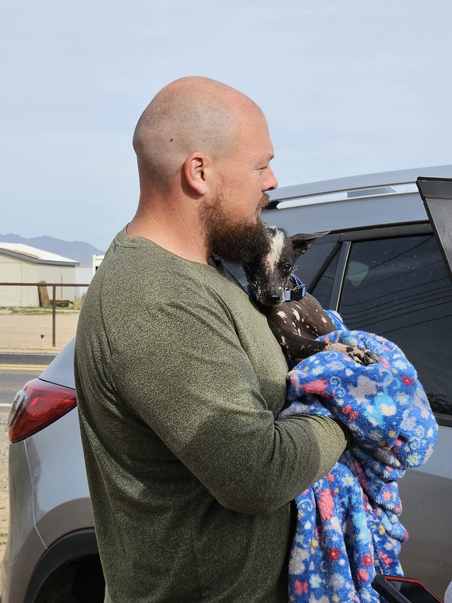 Life at The Gud Ark, photo 2