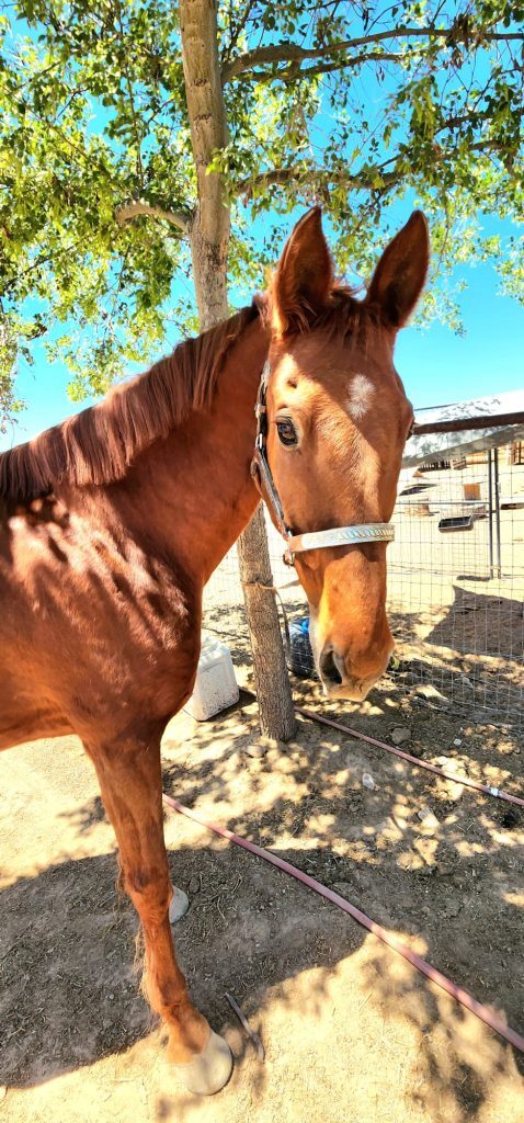 Always Having Fun, photo 3