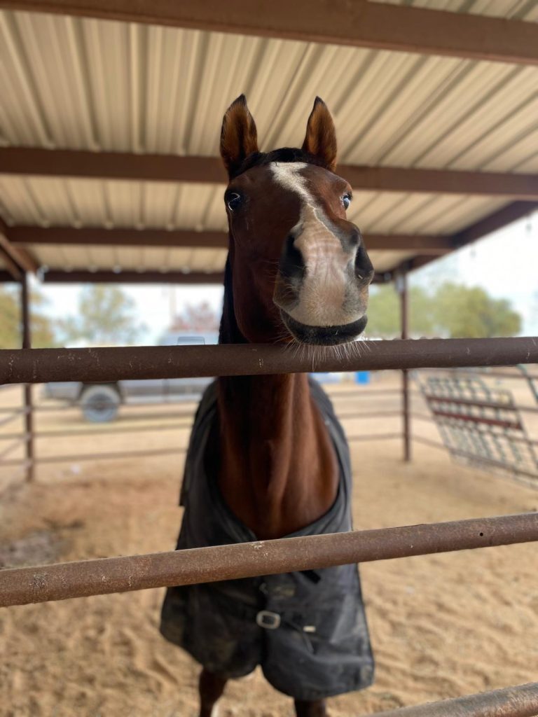 Always Having Fun, photo 6