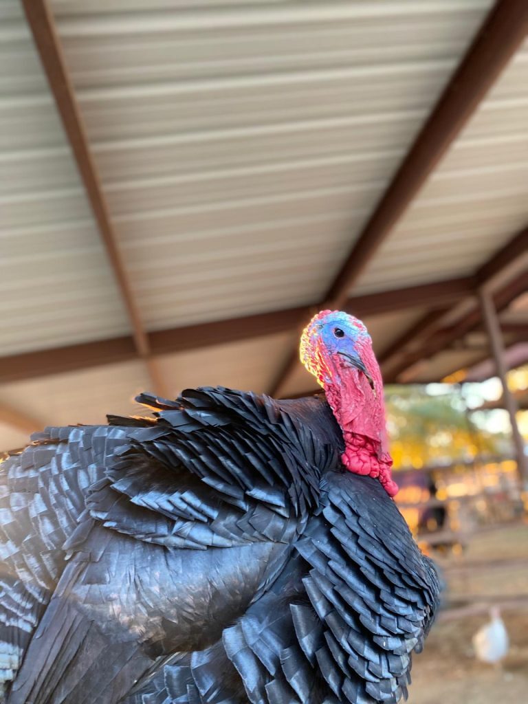 Always Having Fun, photo 5