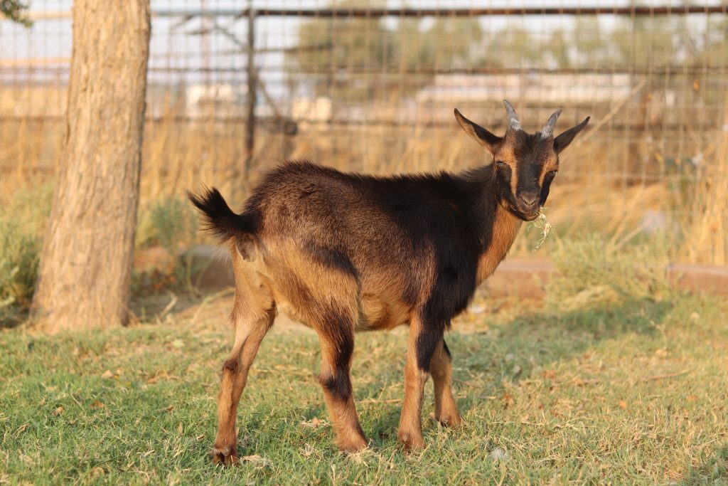 Always Having Fun, photo 2