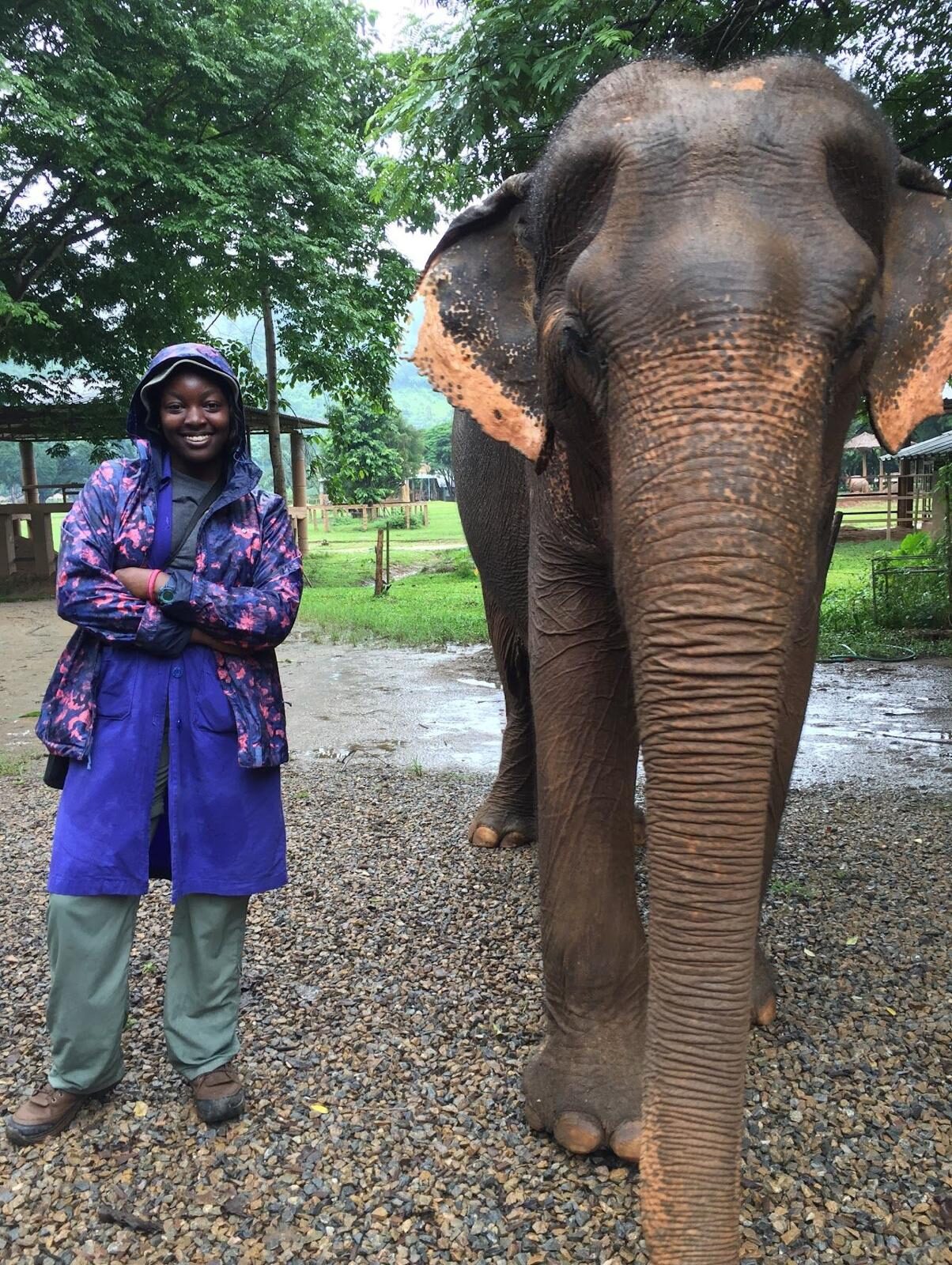 Life at The Gud Ark, photo 7