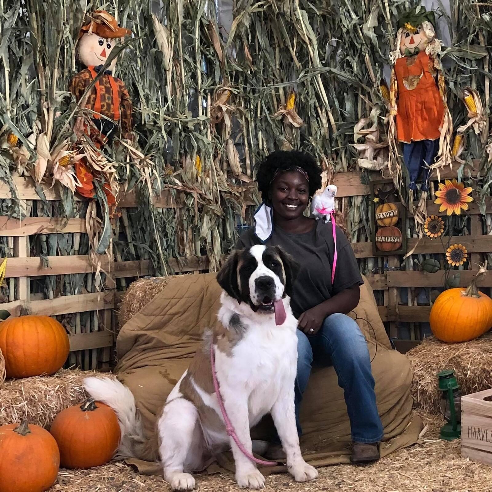 Life at The Gud Ark, photo 8