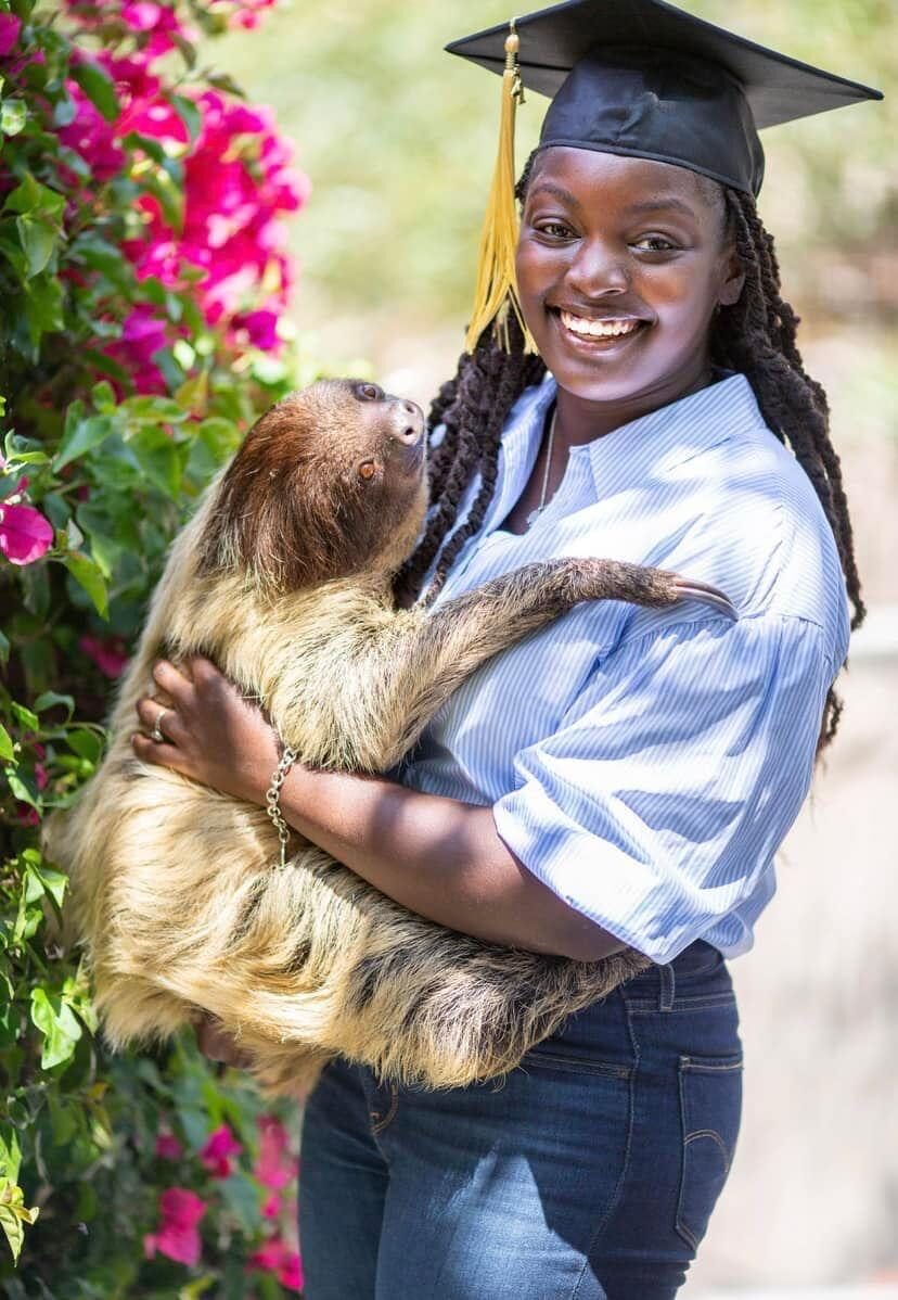 Life at The Gud Ark, photo 10