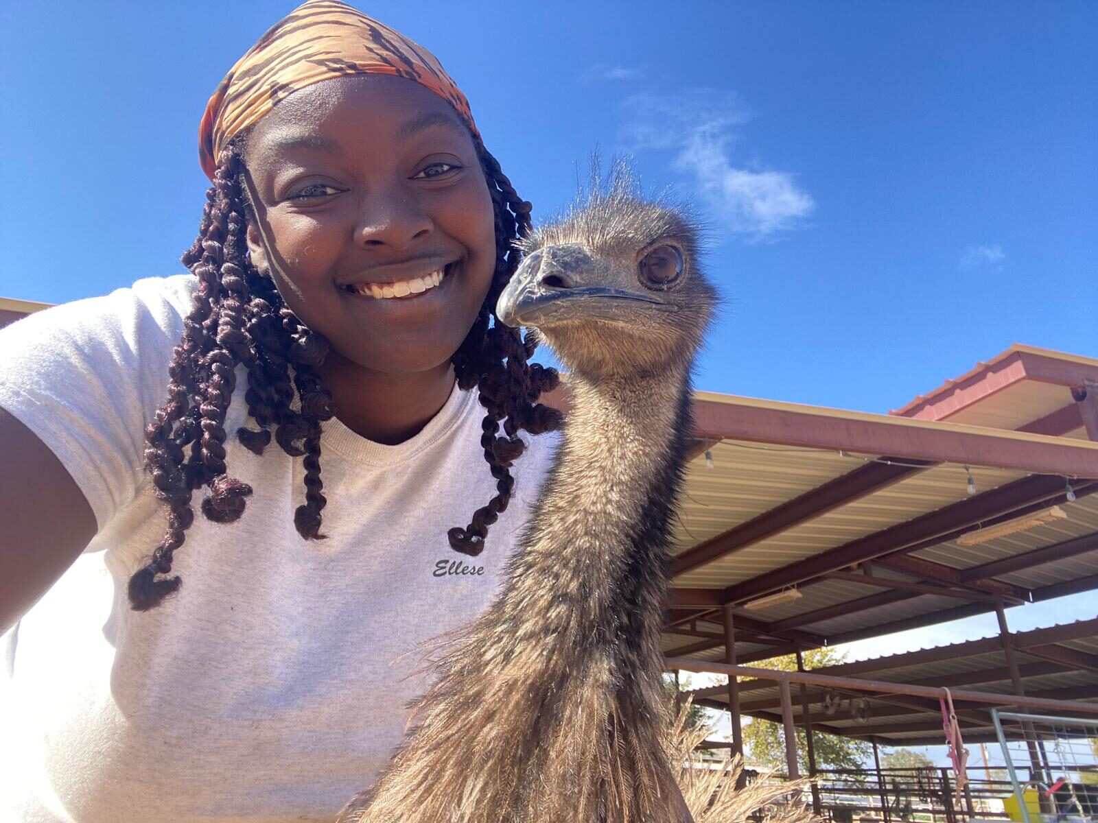 Life at The Gud Ark, photo 12