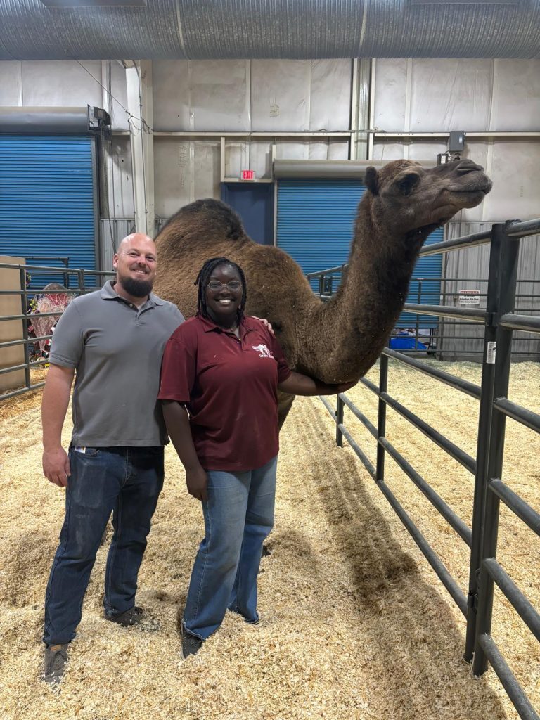 Life at The Gud Ark, photo 5