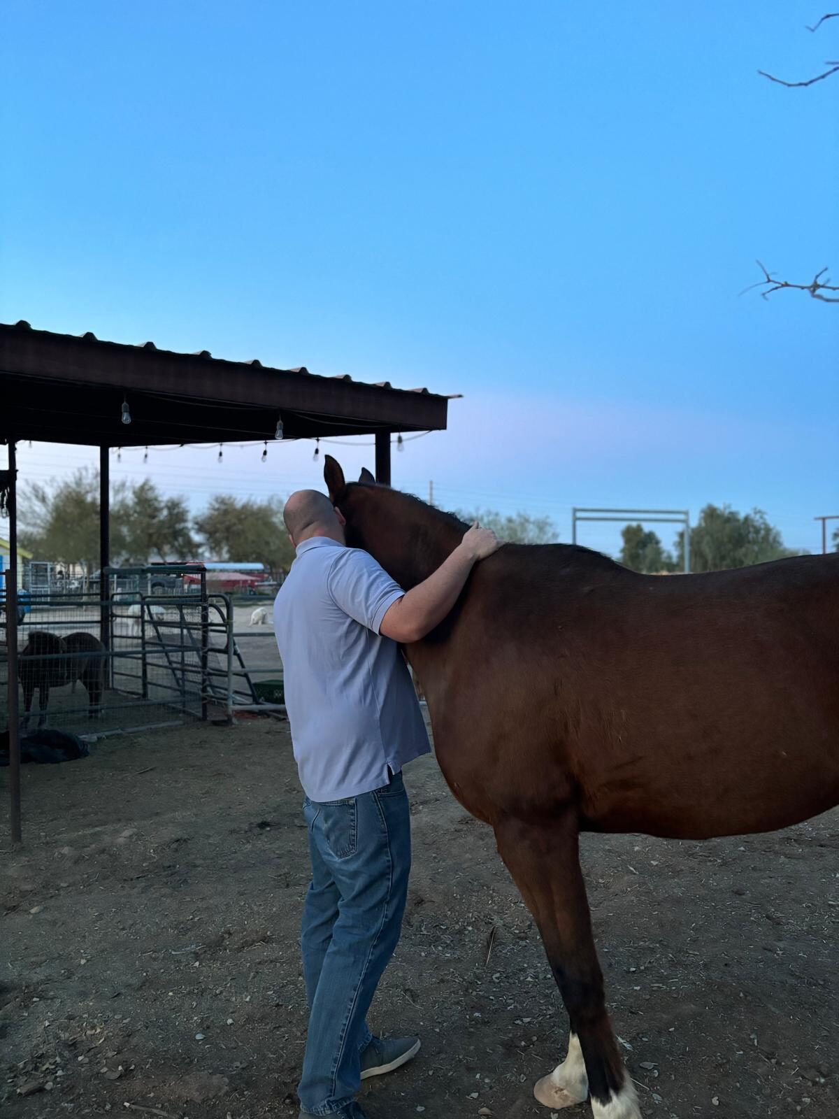 Life at The Gud Ark, photo 16