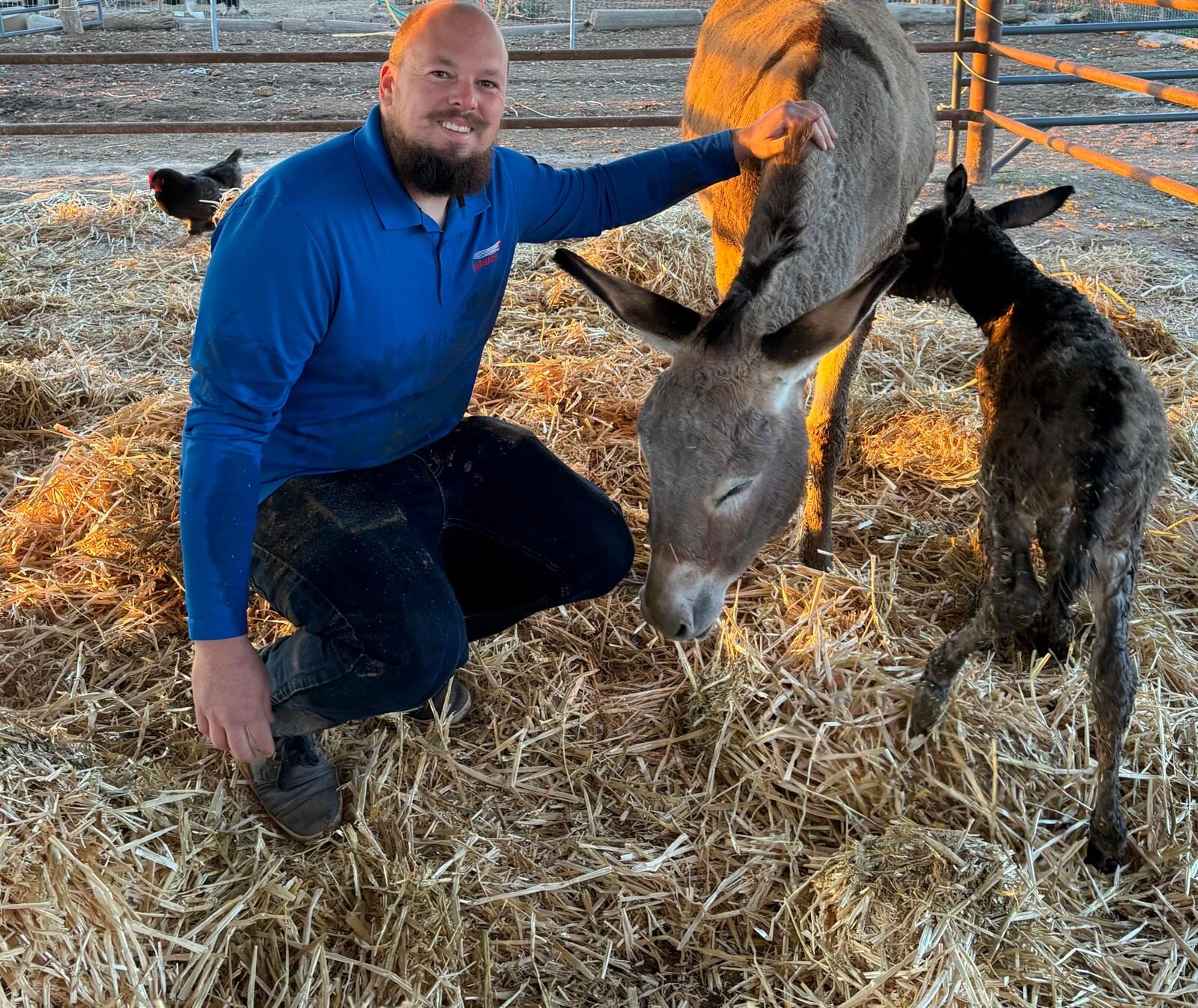 Life at The Gud Ark, photo 17