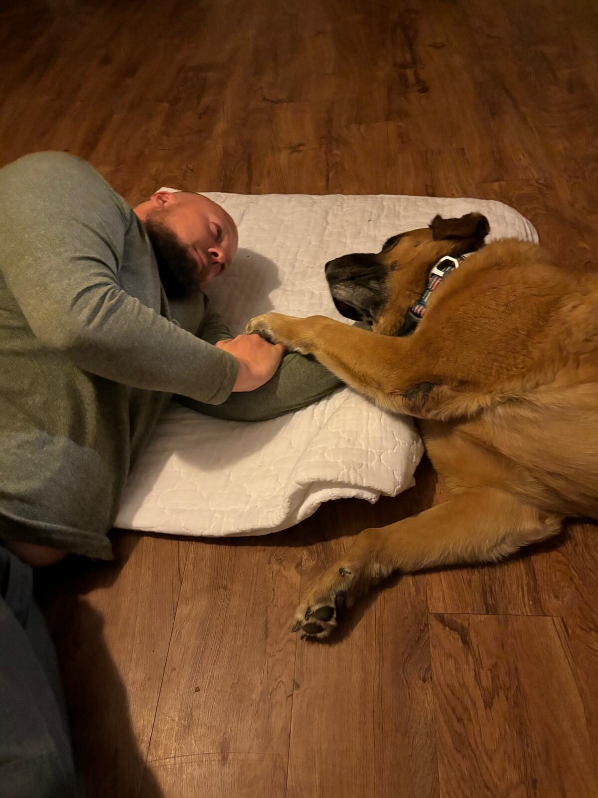 Life at The Gud Ark, photo 18