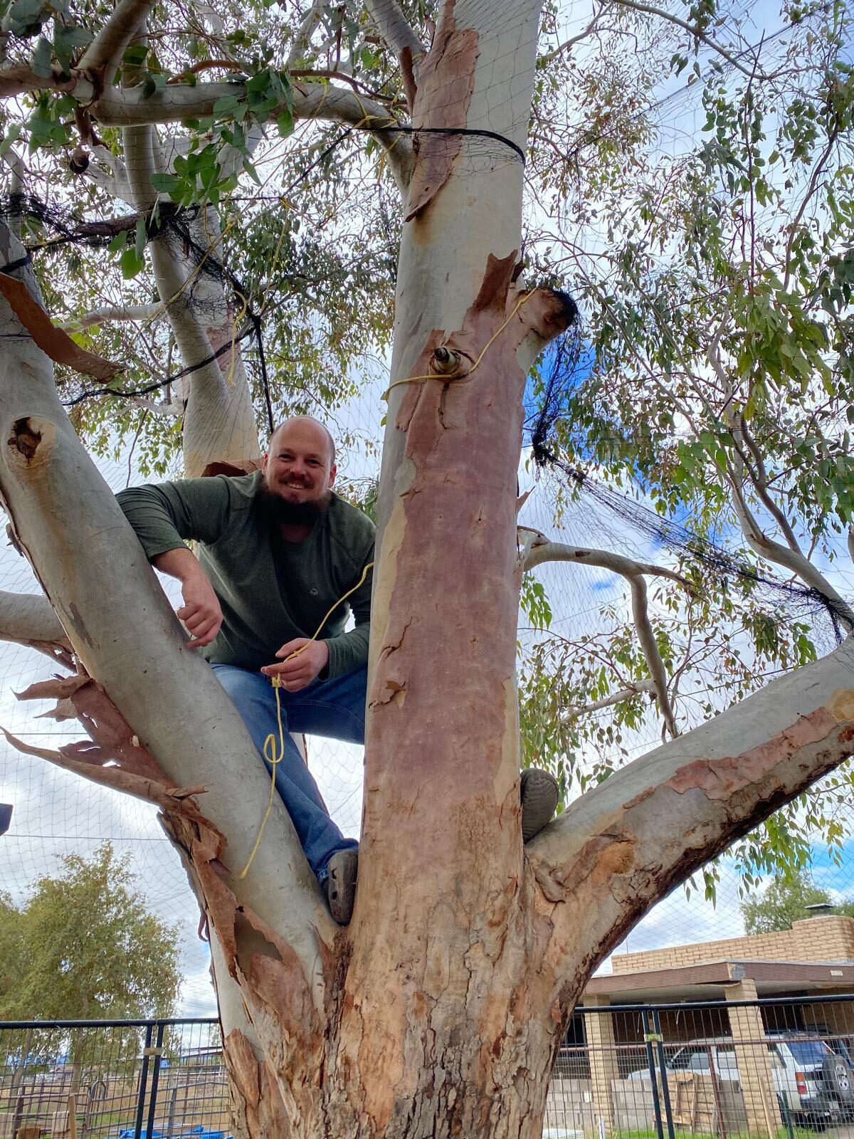 Life at The Gud Ark, photo 19