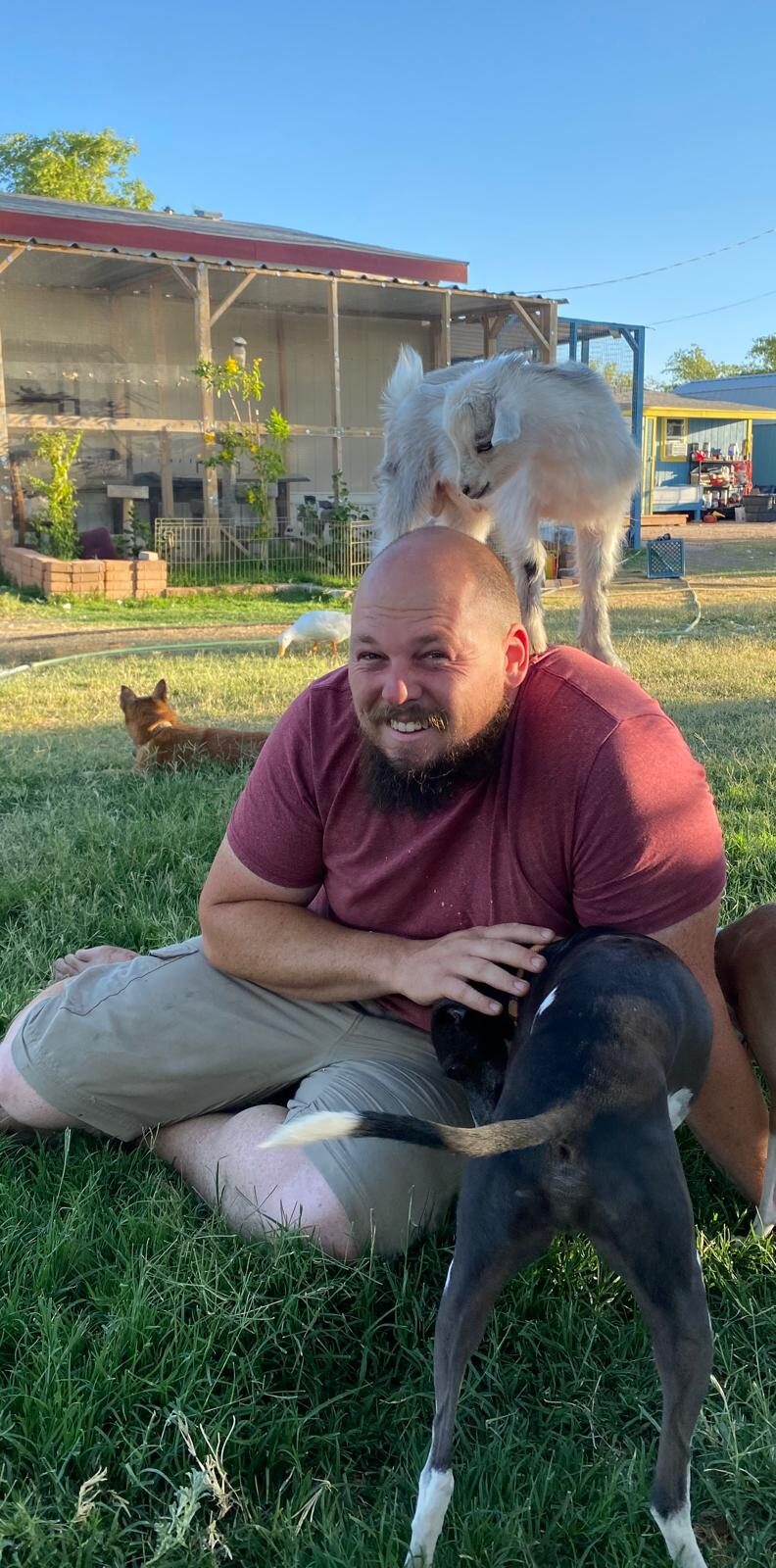 Life at The Gud Ark, photo 20