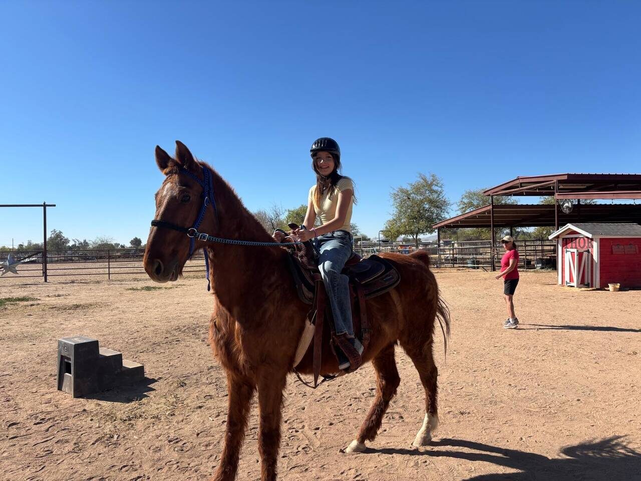 Children participating in horse camp activities at The Gud Ark Animal Sanctuary