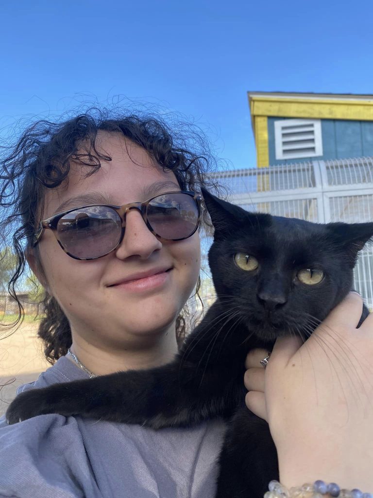 Volunteers in Action, photo 3