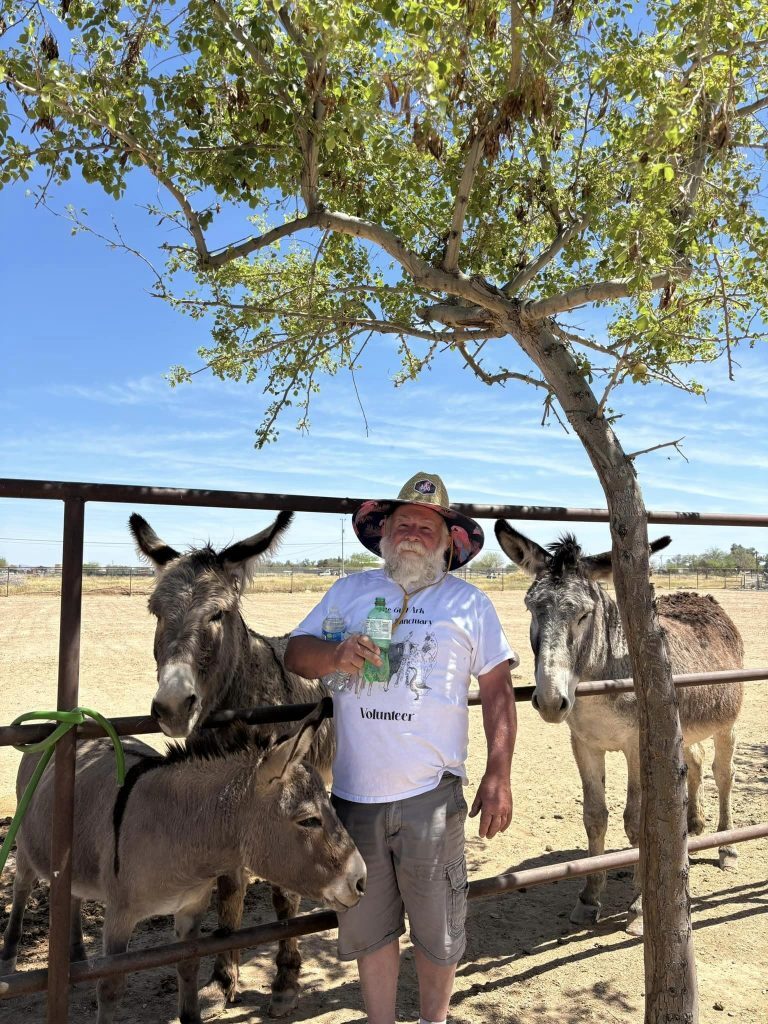 Volunteers in Action, photo 1
