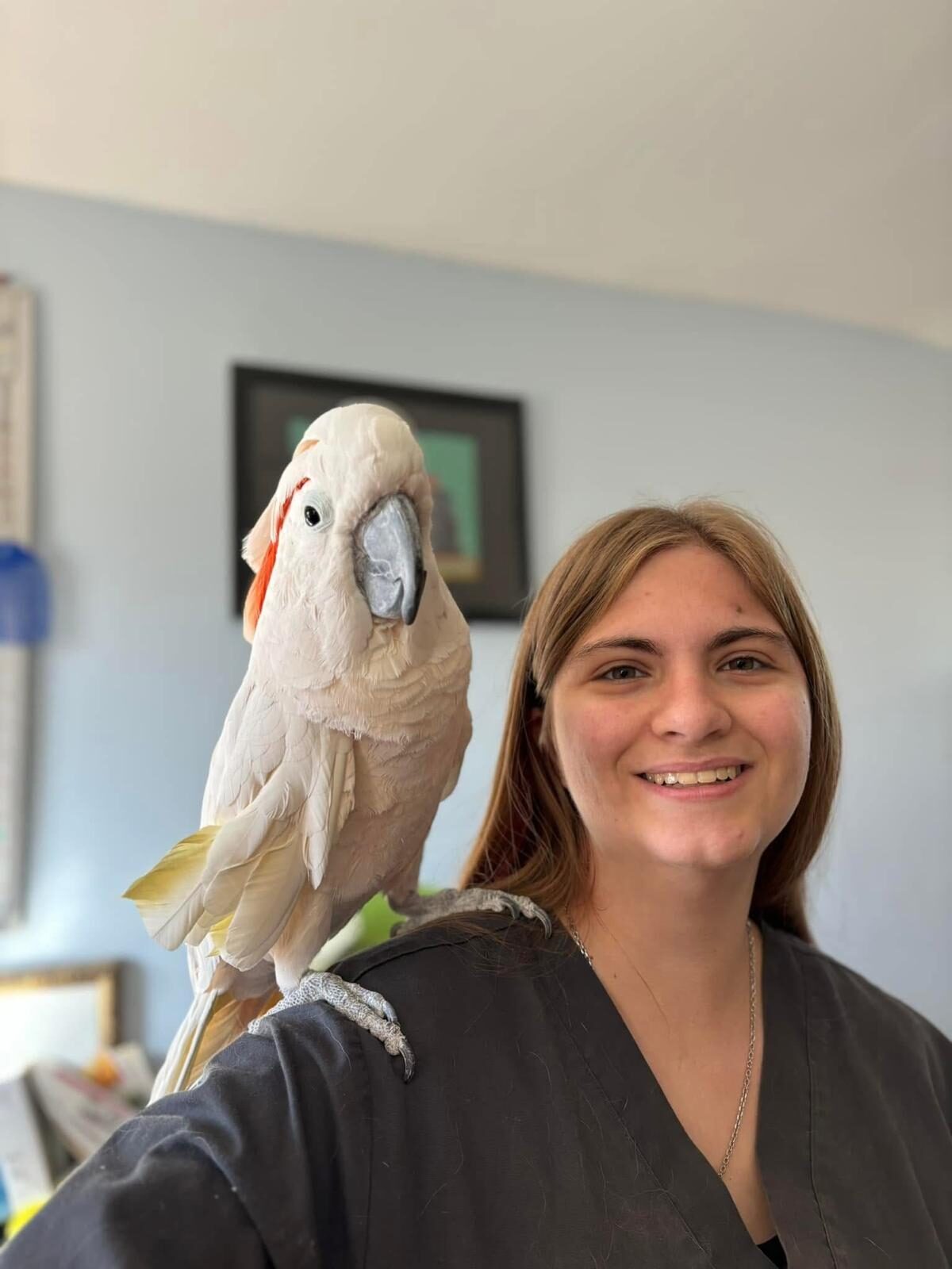 Volunteers with animals at The Gud Ark
