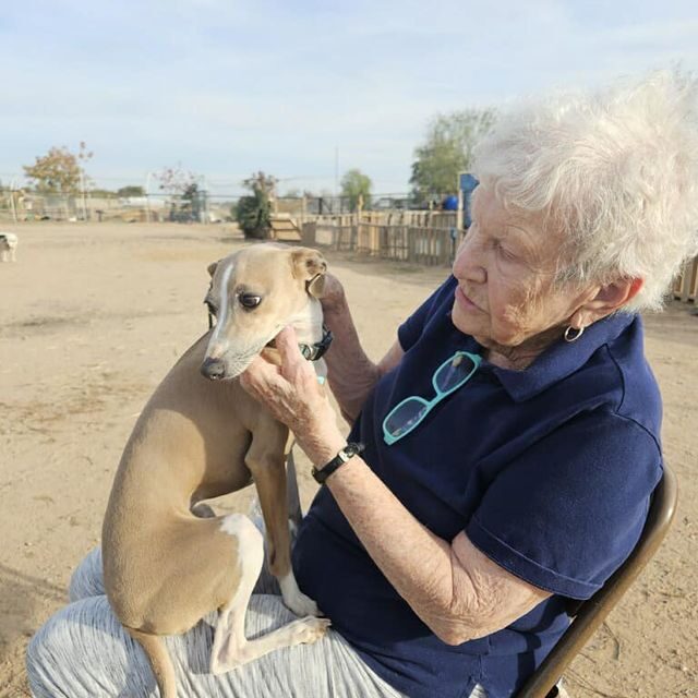 Volunteers in Action, photo 2